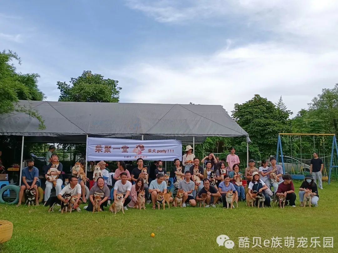 宠爱有家 夏日派对丨酷贝E族