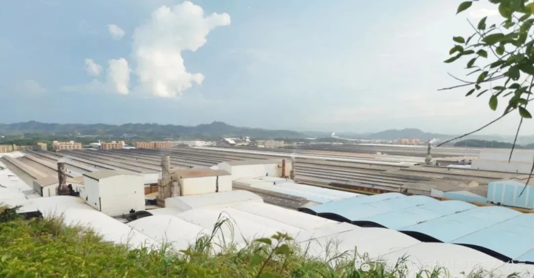 广西行｜暨红波集团2022半年度工作总结会议