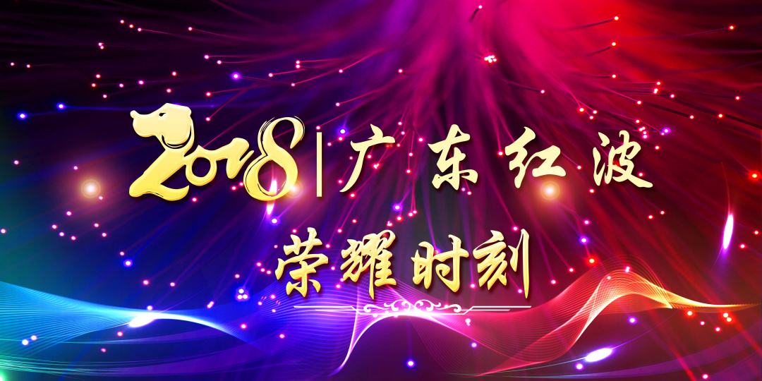 2018年度红波荣耀时刻！