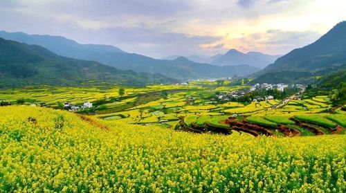 【重磅消息】买红波瓦，送豪华旅游!