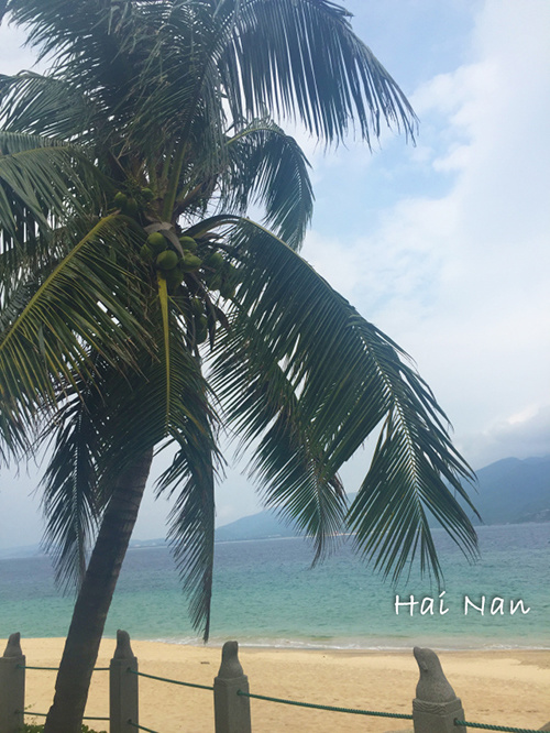 买瓦送海南豪华游——十里春风不如沐浴琼之初夏
