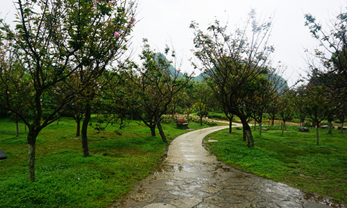 买瓦送旅游之桂林开心游