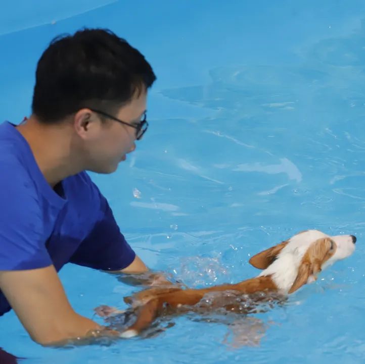 夏日一起水里浪丨酷贝E族