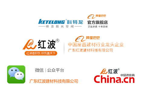 品牌红波，凝聚力量