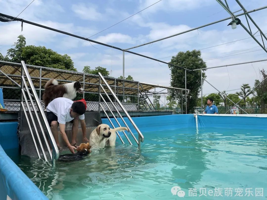 遛狗的好去处丨酷贝E族