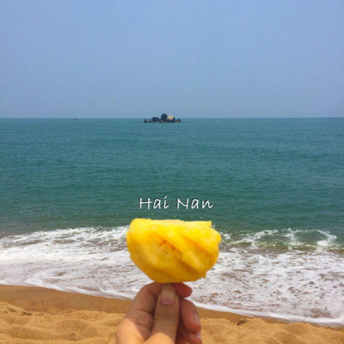 买瓦送海南豪华游——十里春风不如沐浴琼之初夏