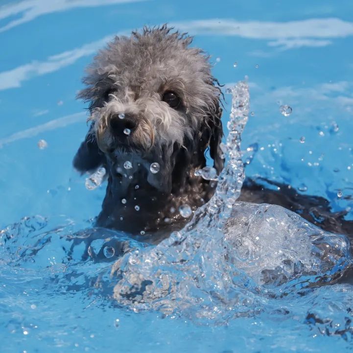 夏日一起水里浪丨酷贝E族