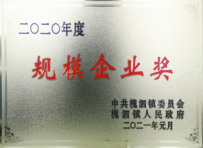 2020年度規(guī)模企業(yè)獎(jiǎng)