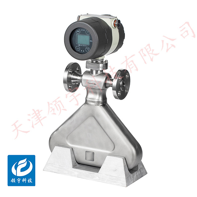 LF-16A系列三角型质量流量计