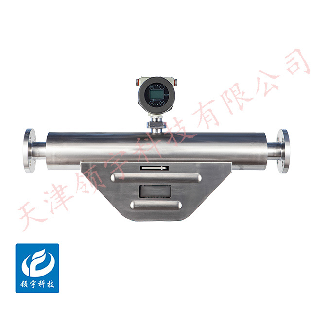 LF-16V系列V型质量流量计