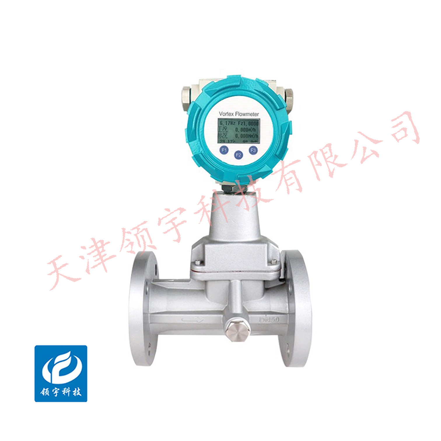 LF12系列旋进旋涡流量计