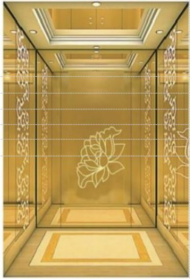 Beautiful and affordable passenger elevator