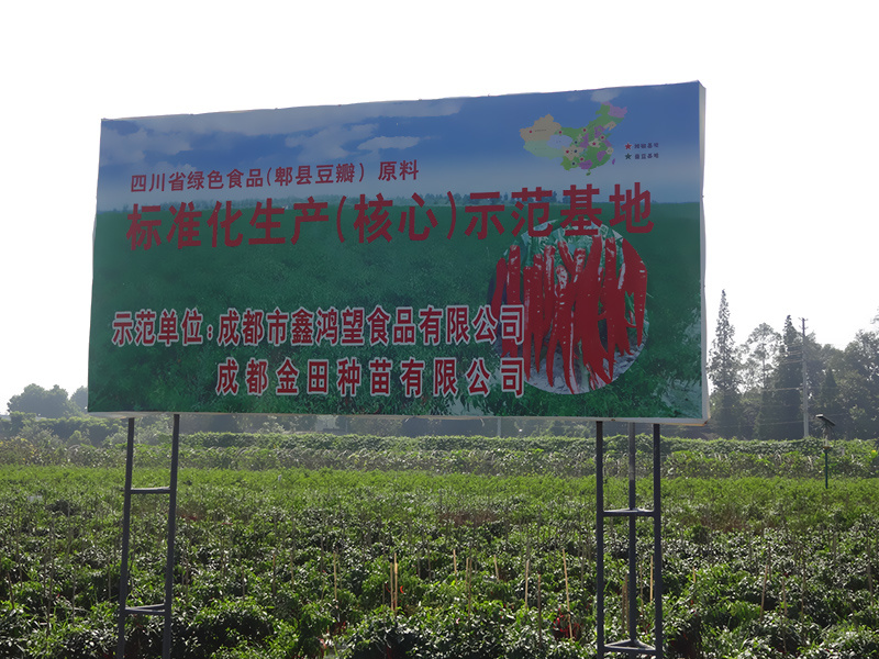 成都鑫鴻望公司辣椒基地