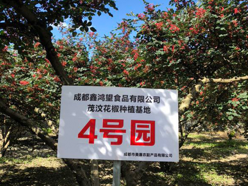 成都鑫鴻望公司花椒基地