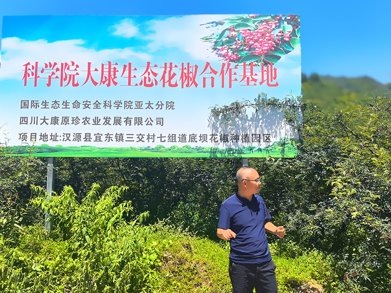 成都鑫鴻望公司花椒基地