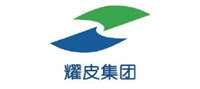 耀皮集团 耀皮集团
