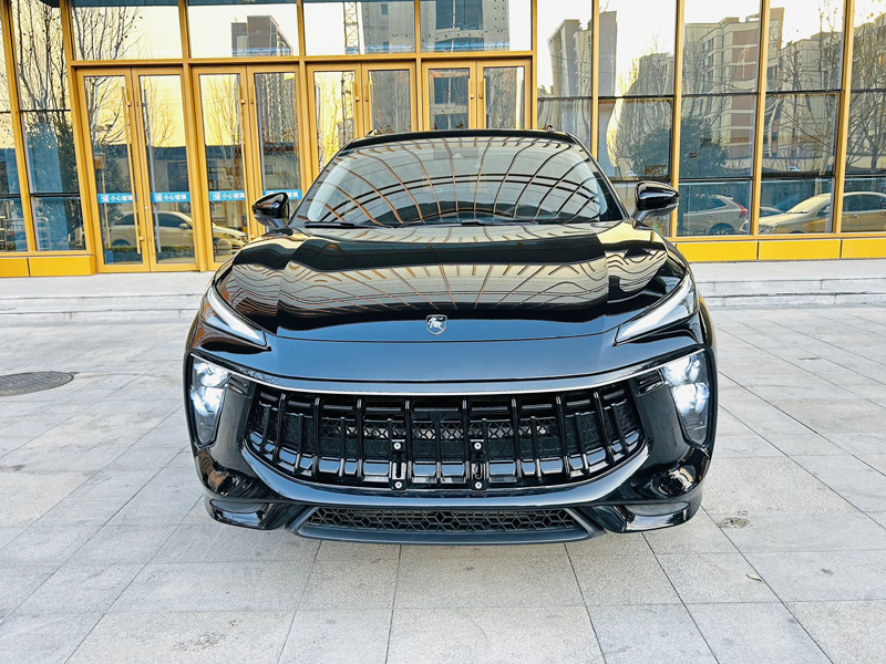 Forthing  T5 EVO