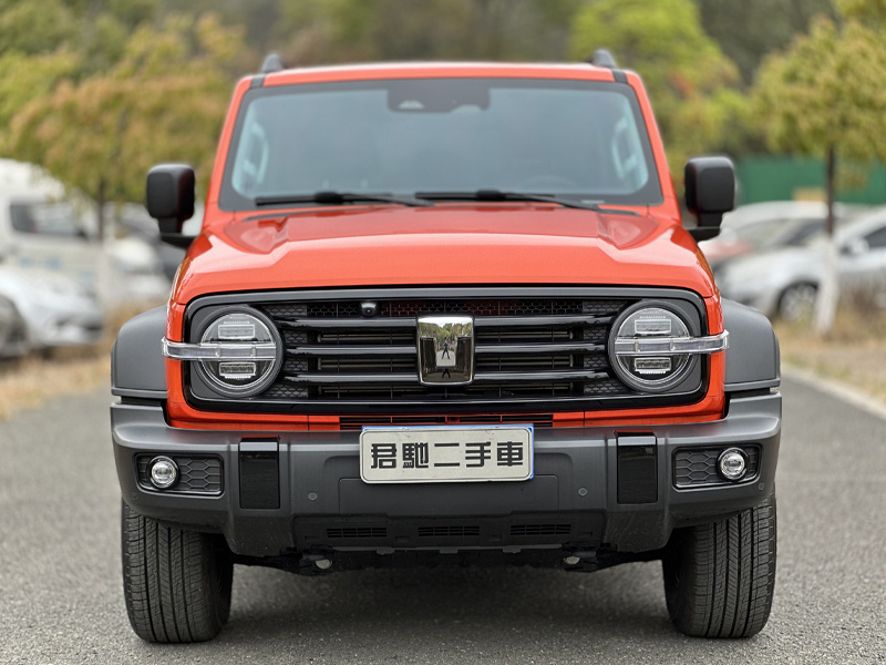WEY TANK300