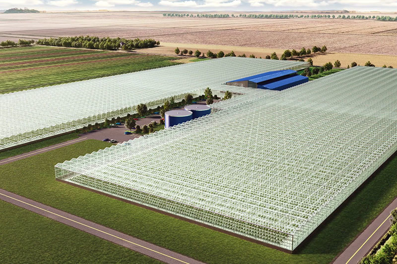 Xinye Greenhouse Xinye Greenhouse