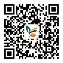 Wechat official Account Wechat official Account
