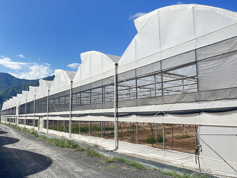 Multi-storey film greenhouse