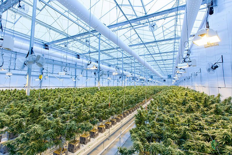 Greenhouse accessories play a vital role in the construction and operation of greenhouse Greenhouse accessories play a vital role in the construction and operation of greenhouse