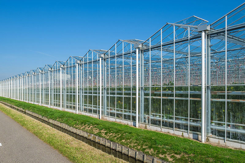 Types and characteristics of greenhouse
