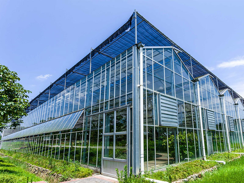 Glass greenhouse