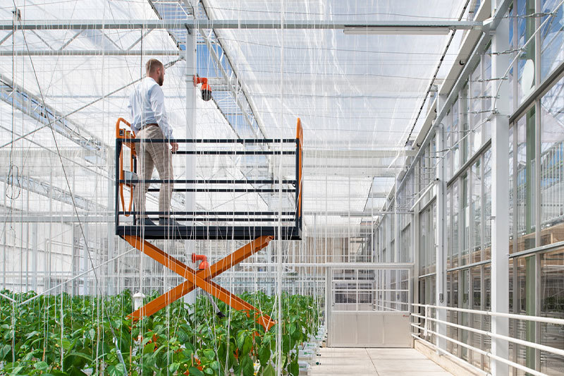 Xinye Greenhouse Xinye Greenhouse