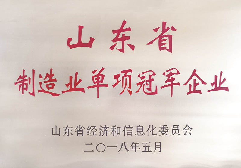 Shandong Province Manufacturing Individual Champion Enterprise
