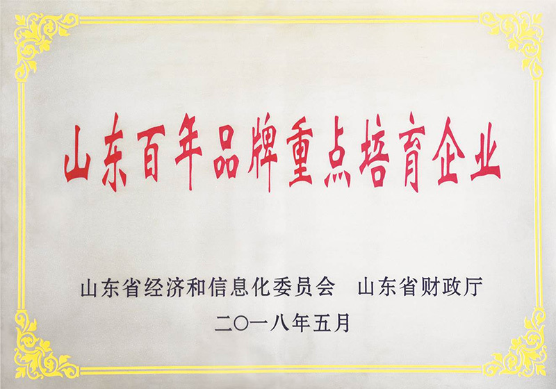 Shandong century-old brand key cultivation enterprise