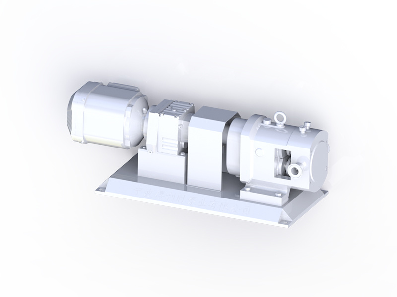 Rotor pump