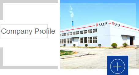 Company Profile
