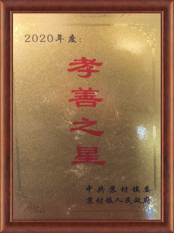 孝善之星