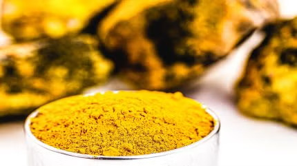 US-based Premier Uranium will acquire uranium exploration company, Nuclear Fuel.