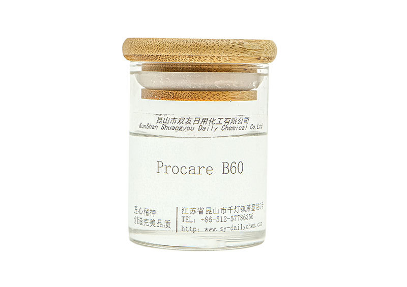 Procare B60