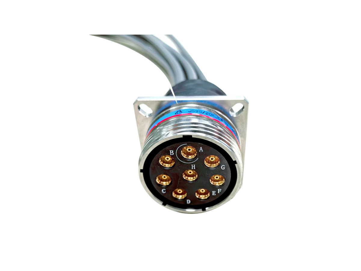 J599-LSMC190-SMAJ-2.jpg