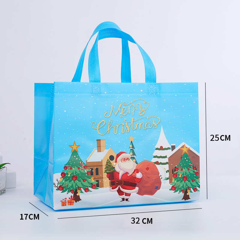 Christmas spot bag