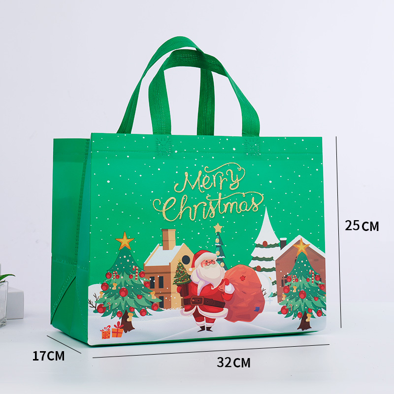 Christmas spot bag