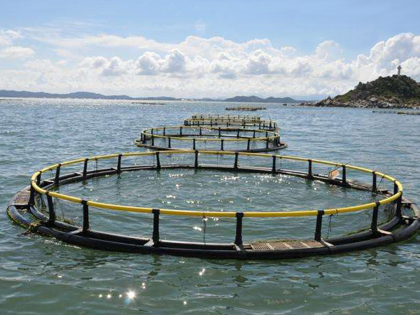 Marine farming