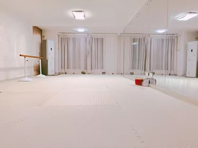 EVA indoor floor mats
