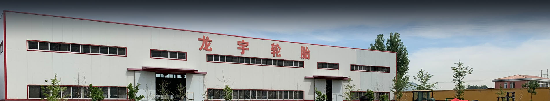 關(guān)于龍宇