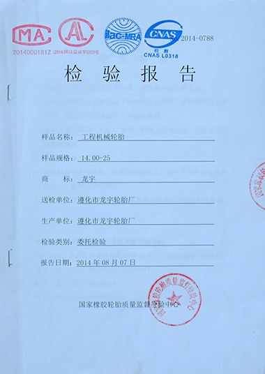 檢驗(yàn)報(bào)告 檢驗(yàn)報(bào)告
