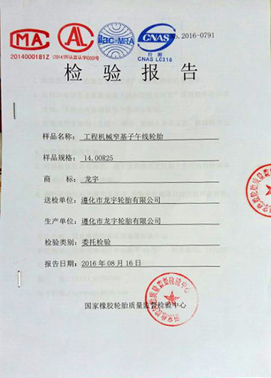 檢驗(yàn)報(bào)告 檢驗(yàn)報(bào)告