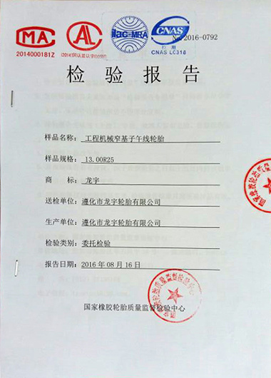 檢驗(yàn)報(bào)告 檢驗(yàn)報(bào)告