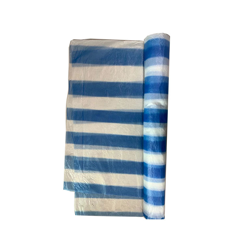 Rolling bag