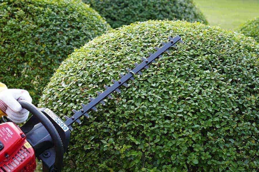 Science popularization about garden machinery
