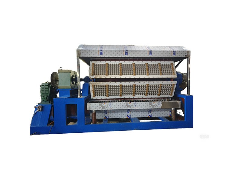 FY-6*8 Egg Tray Machine(7000 pcs/h)