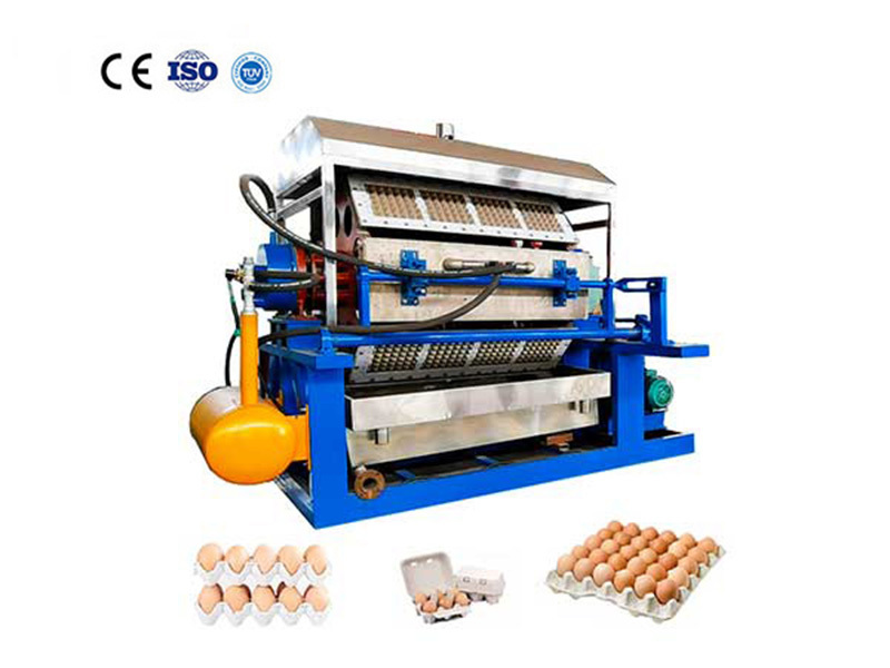 FY-4*8 Egg Tray Machine(4500 pcs/h)