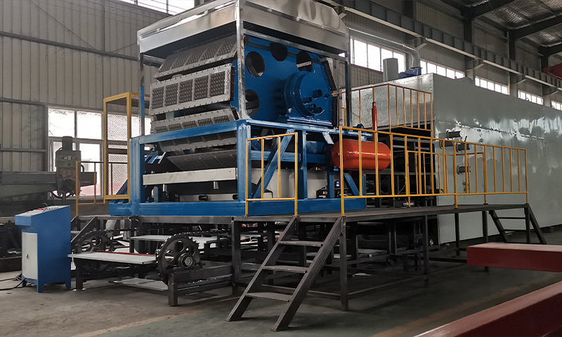 Case Study: British Customer Paper Medical Bedpan Production Line (Egg Tray Making Machine)